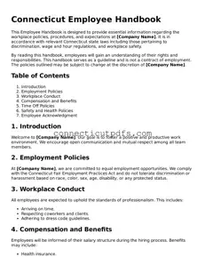 Fillable Connecticut Employee Handbook Document
